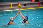 WWPolo vs CC  Wheaton College Women’s Water Polo vs Connecticut College. - Photo By: KEITH NORDSTROM : Wheaton, water polo